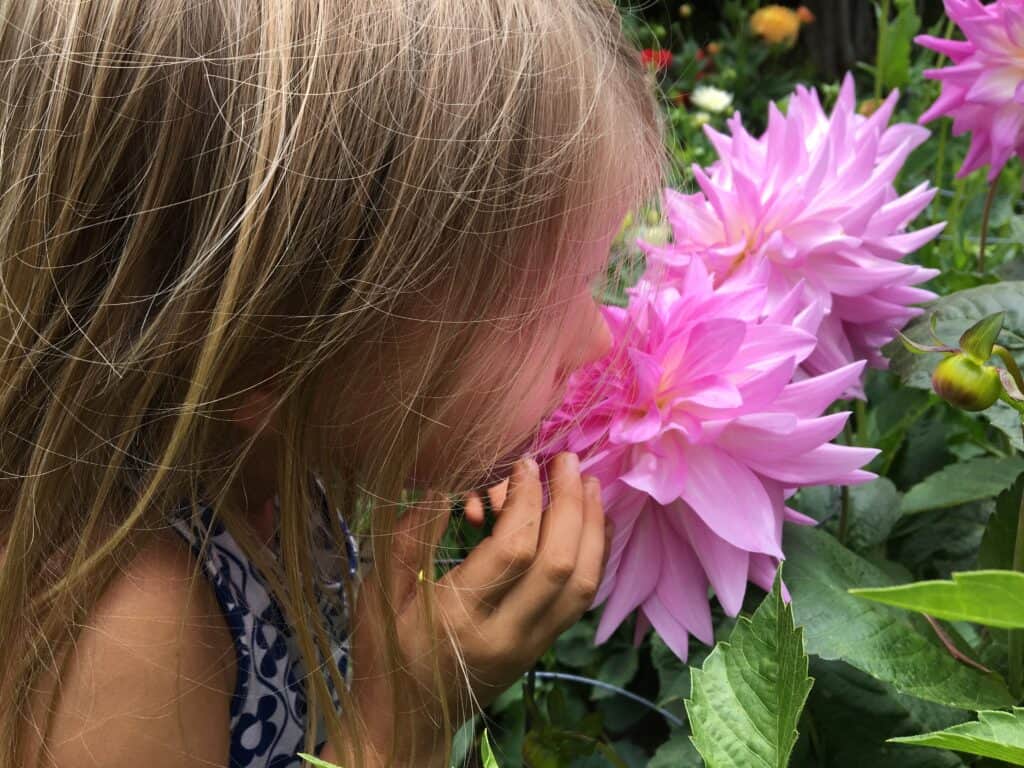 kid smelling flower