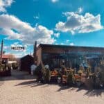 reems-creek-nursery-asheville-02