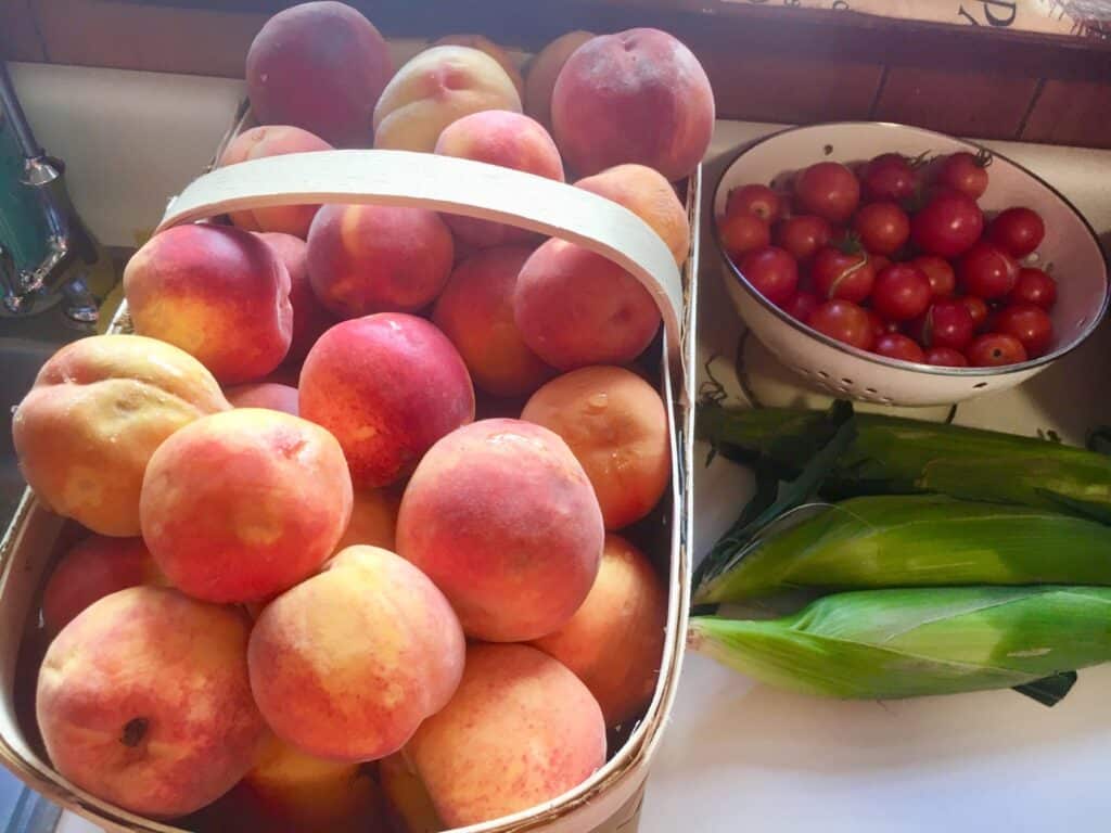 A bushel of peaches from Western North Carolina Farmers Market - AshevilleGardener.com