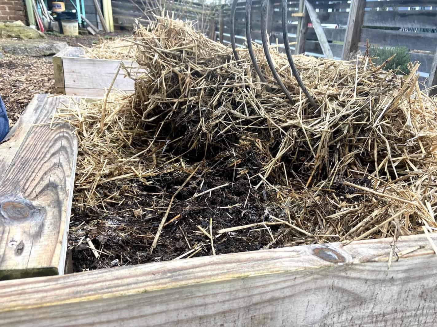 Benefits of Compost for Raised Beds Preparing Your Soil Asheville