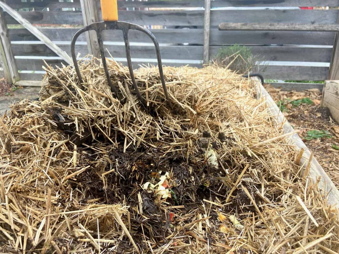 Benefits of Compost for Raised Beds Preparing Your Soil Asheville