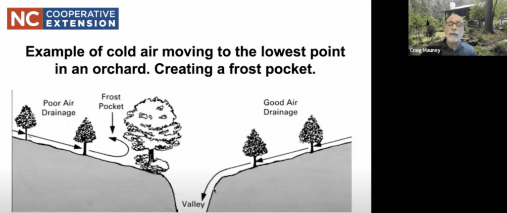 fruit-tree-placement-nc